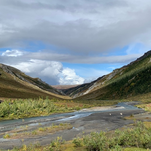 Meet your Posher, Shayne - Picture 7 of 10